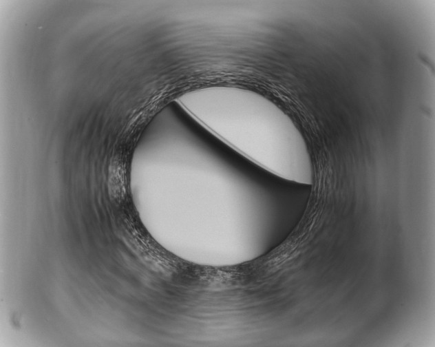 X0000100480772200806130732