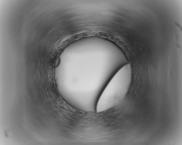 X0000100480773200806130732