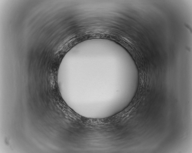 X0000100480774200806130732