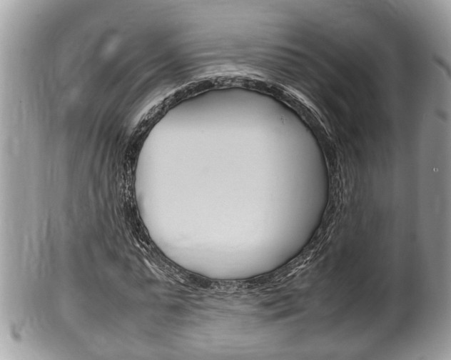 X0000100480775200806130732