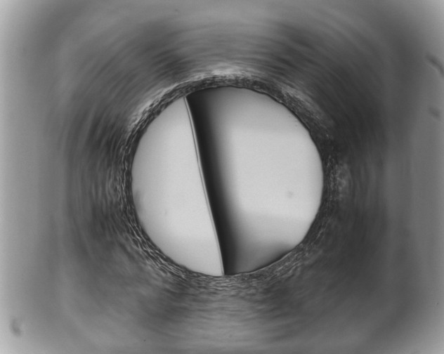 X0000100480776200806130731