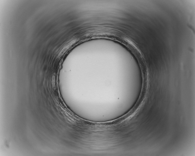 X0000100480777200806130731