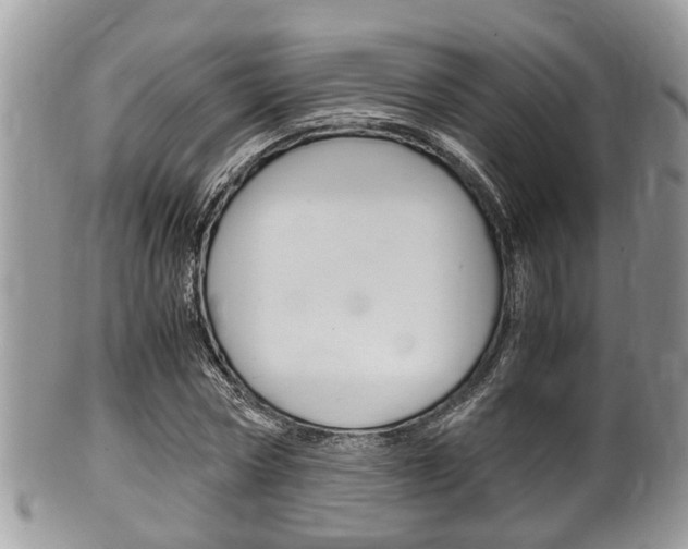 X0000100480778200806130731