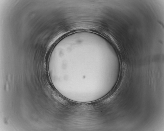 X0000100480779200806130731