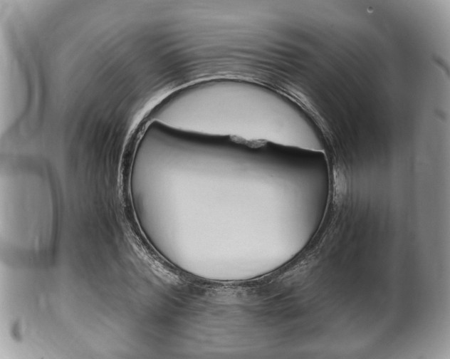 X0000100480780200806130731