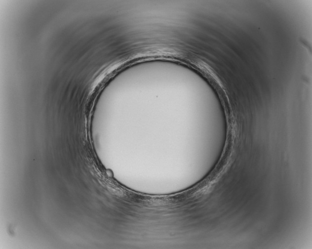 X0000100480781200806130731