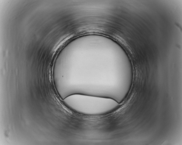 X0000100480782200806130731