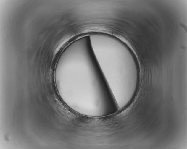 X0000100480783200806130731