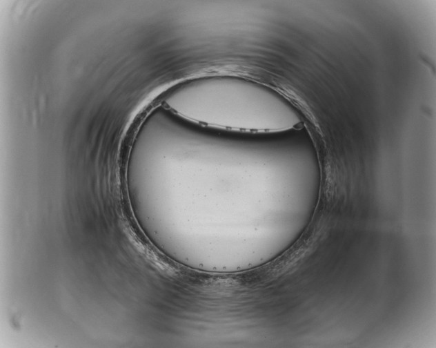 X0000100480784200806130731