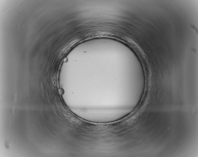 X0000100480785200806130731