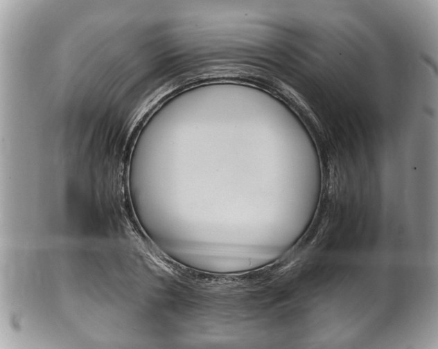 X0000100480786200806130731