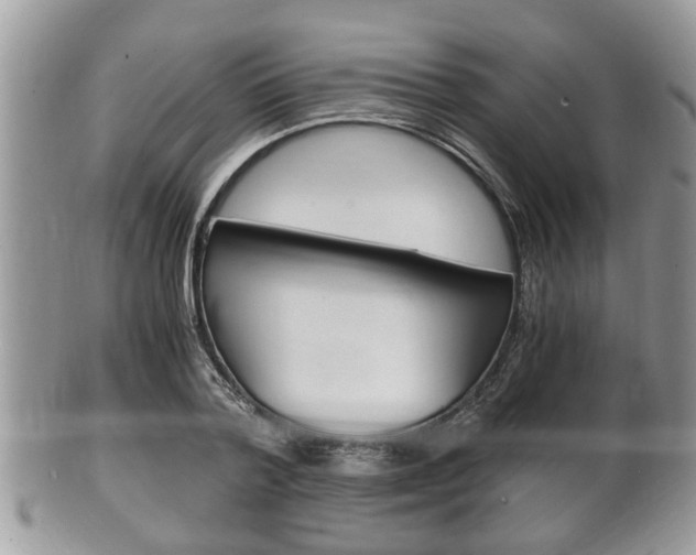 X0000100480788200806130731