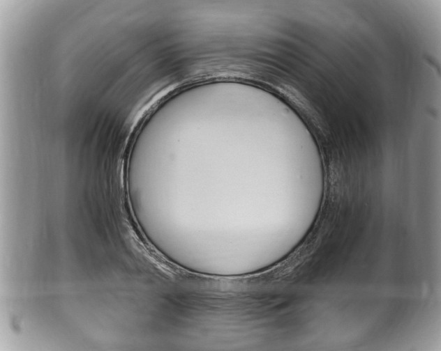 X0000100480790200806130731