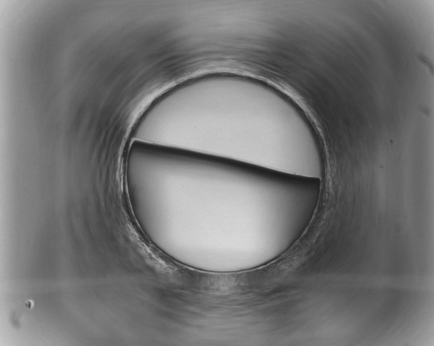 X0000100480791200806130731