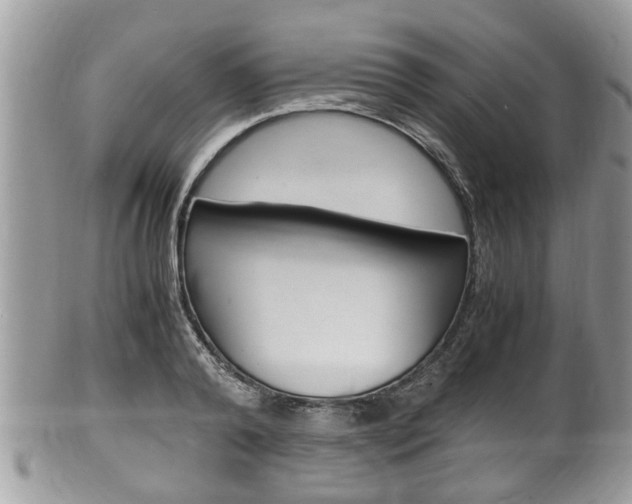 X0000100480792200806130731