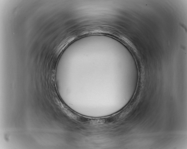 X0000100480793200806130731