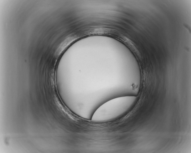 X0000100480794200806130731