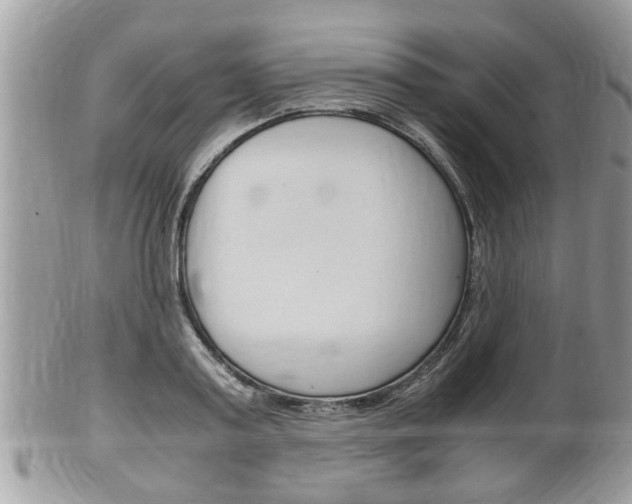 X0000100480795200806130731