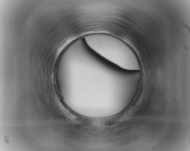 X0000100480797200806130731