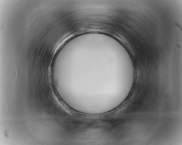 X0000100480798200806130731