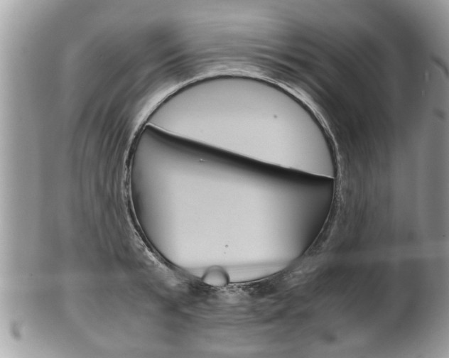 X0000100480799200806130731