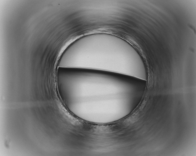 X0000100480800200806130731