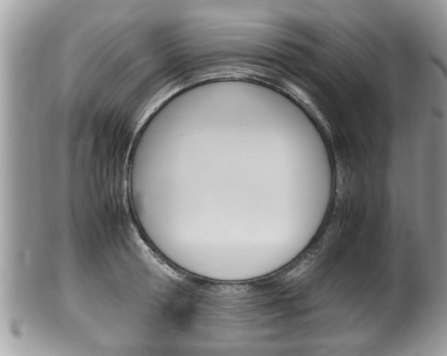X0000100480802200806130731