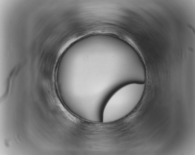 X0000100480803200806130731