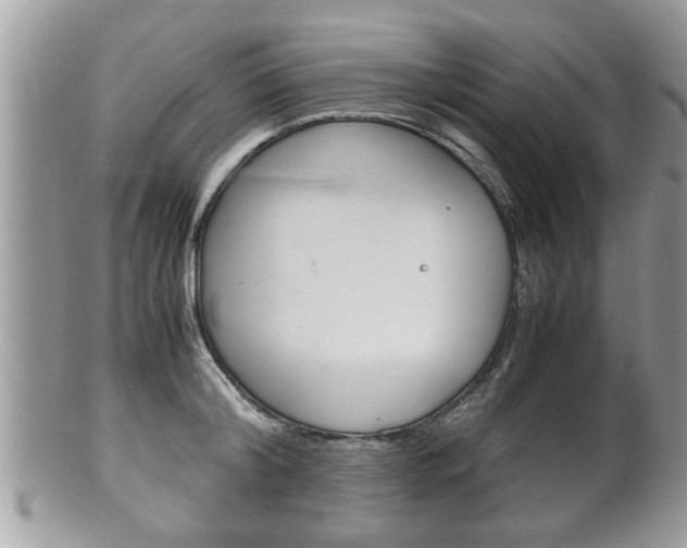 X0000100480804200806130731