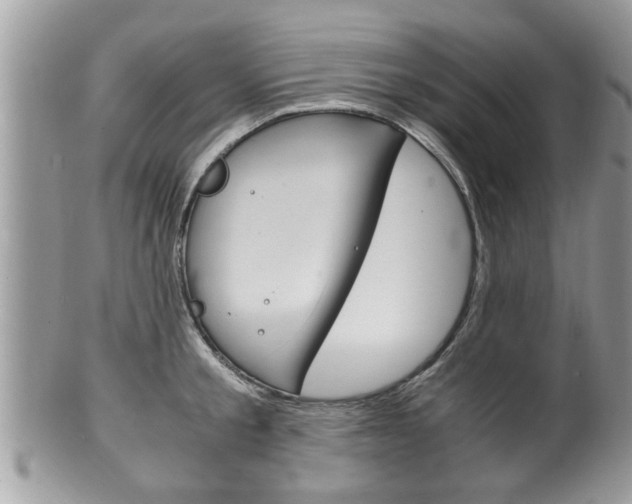 X0000100480805200806130731