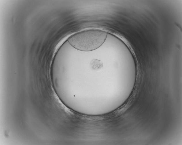 X0000100480807200806130731