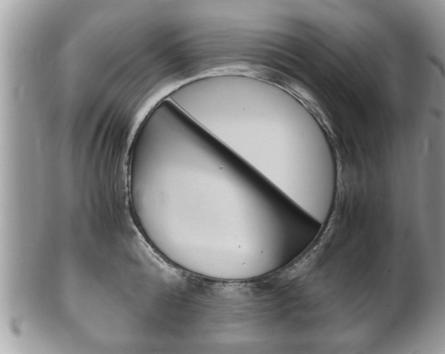 X0000100480808200806130731