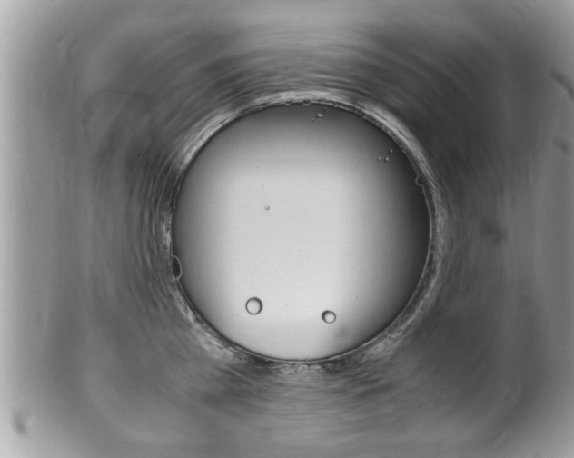 X0000100480809200806130731