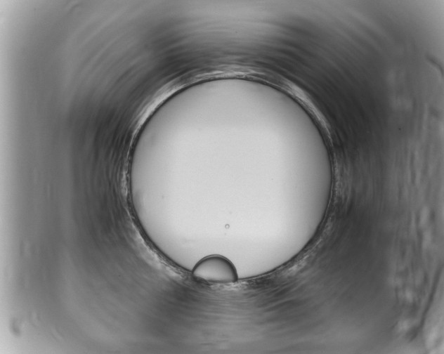 X0000100480810200806130731