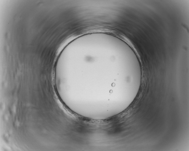 X0000100480811200806130731