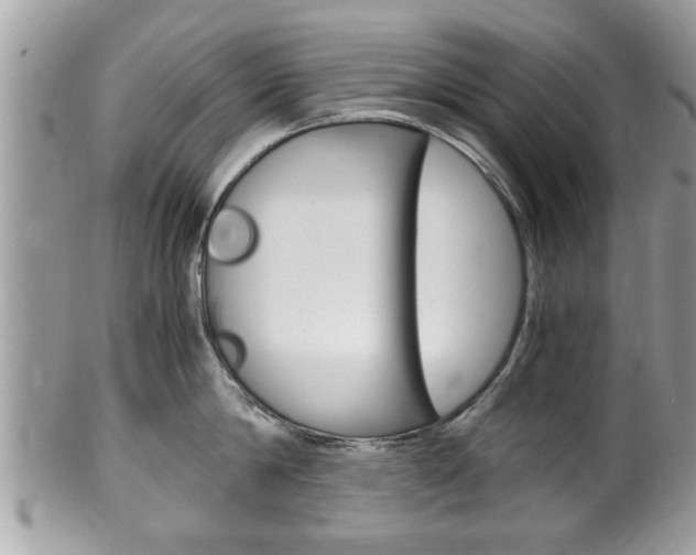 X0000100480814200806130731