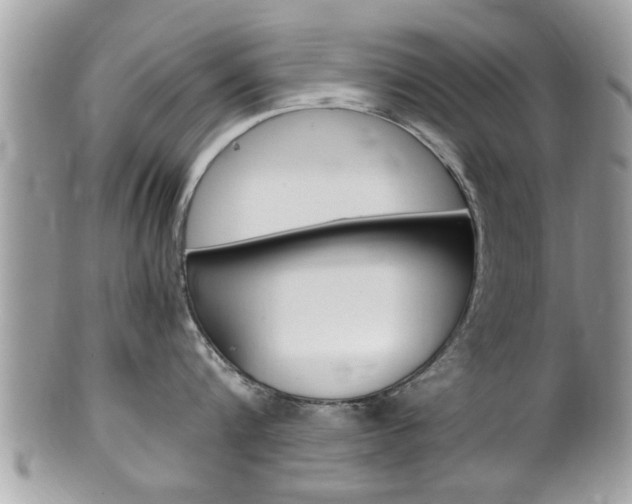 X0000100480816200806130731