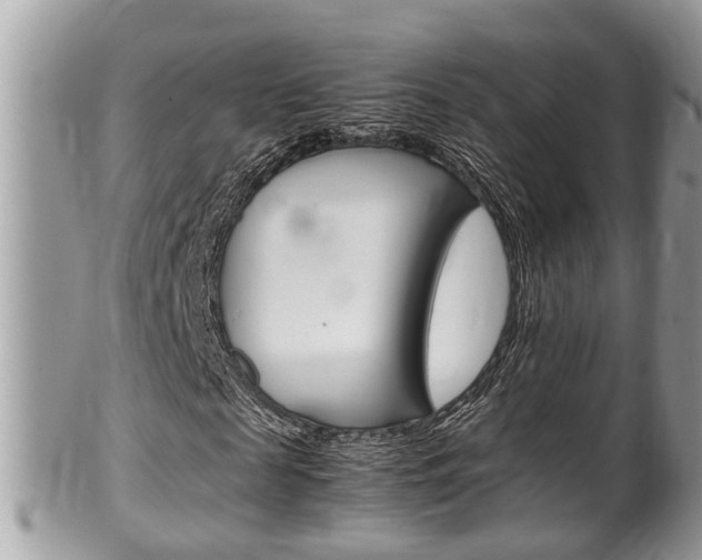 X0000100480817200806130730