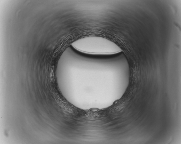 X0000100480818200806130730