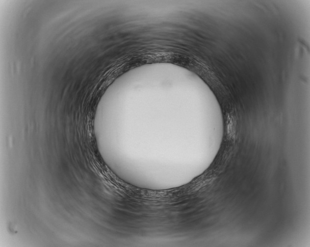 X0000100480819200806130730