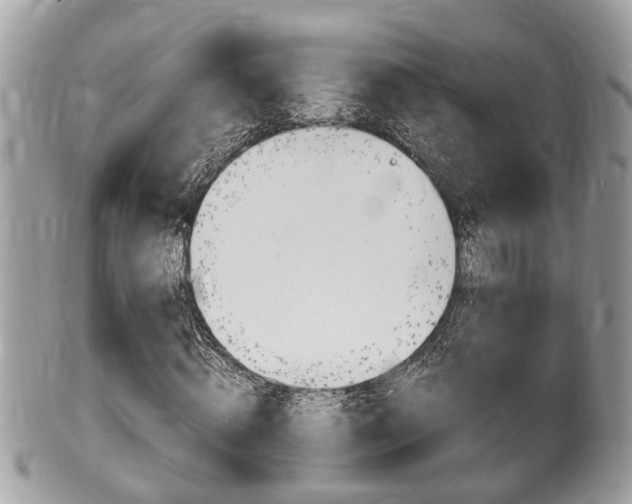X0000100480820200806130730