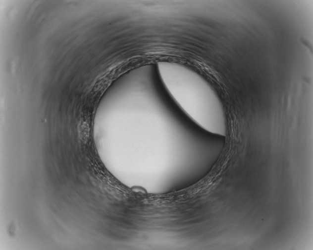 X0000100480821200806130730