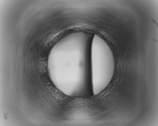 X0000100480822200806130730
