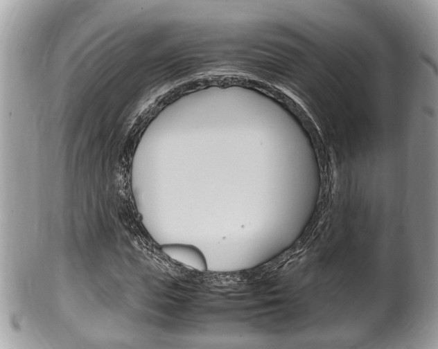 X0000100480823200806130730