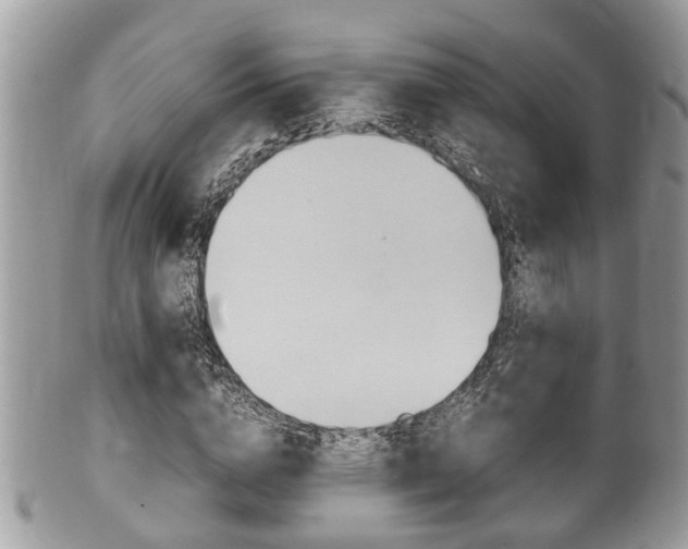 X0000100480824200806130730
