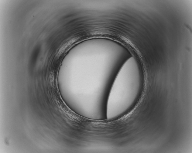 X0000100480825200806130730