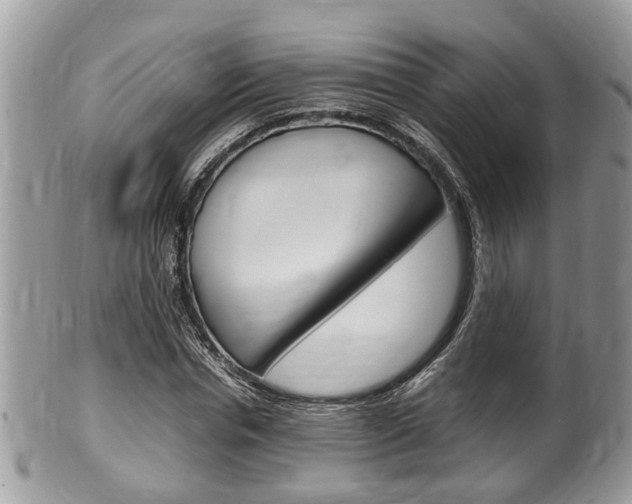 X0000100480826200806130730