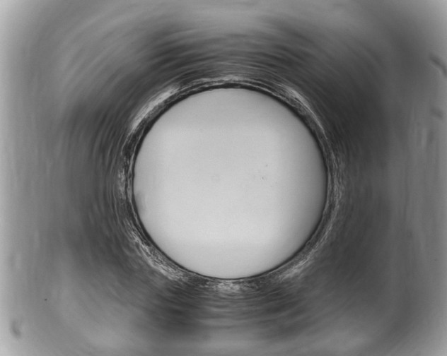 X0000100480827200806130730