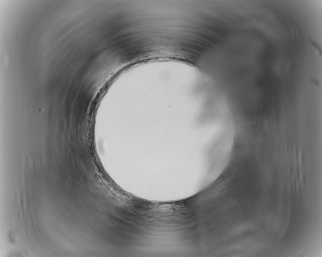 X0000100480828200806130730