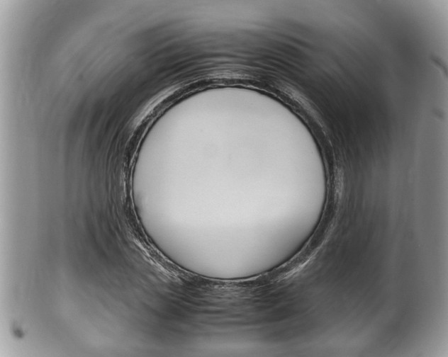 X0000100480829200806130730